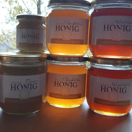 Nest * Sibratsgfäll