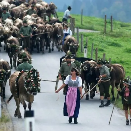 Nest * Sibratsgfäll