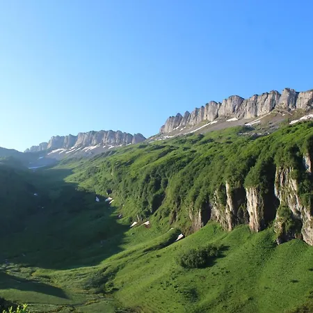 Nest * Sibratsgfäll